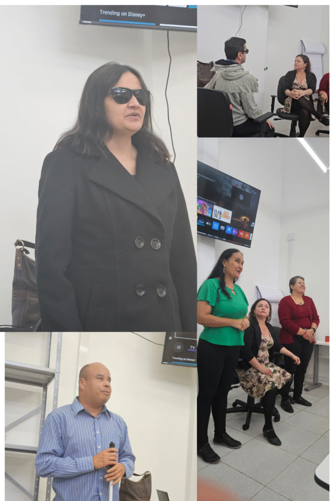 Montagem de fotos em ambiente de sala de aula ou reunião.

Na parte esquerda superior aparece uma mulher de pele clara, cabelo castanho-escuro comprido solto, usando óculos escuros e um casaco preto estruturado, abotoado com dois fileiras de botões grandes. Atrás dela há uma bolsa grande pendurada em uma cadeira e, mais acima, uma TV de tela plana presa à parede com um cabo pendurado.

No lado direito superior da montagem há três pessoas sentadas em cadeiras giratórias. À esquerda está um homem de pele clara, cabelo curto escuro, usando óculos escuros e moletom cinza com capuz. De frente para ele está uma mulher de pele clara, cabelo preso, usando um blazer preto e vestido estampado claro; as mãos dela estão apoiadas nas pernas. À direita aparece parte de uma terceira pessoa com roupa escura, provavelmente também sentada.

Na parte direita central há três mulheres lado a lado. A primeira, à esquerda, tem pele clara, cabelo longo escuro preso para trás, e usa blusa verde de mangas curtas e calça preta. Ao lado dela, sentada em uma cadeira, está uma mulher de pele clara, cabelo castanho encaracolado preso, usando vestido estampado em tons claros com flores e blazer preto, com meia-calça preta e sapatos escuros. À direita está uma mulher de pele clara, cabelo curto grisalho, usando blusa de tricô vermelha e calça escura. Atrás delas há uma TV de tela plana exibindo uma interface de streaming com capas de filmes e séries.

Na parte inferior esquerda da montagem há um homem de pele clara, calvo, usando camisa social azul clara listrada verticalmente. Ele segura uma bengala longa branca com as duas mãos. Atrás dele há uma estante metálica e parte da mesma TV que aparece nas outras fotos, presa à parede branca.